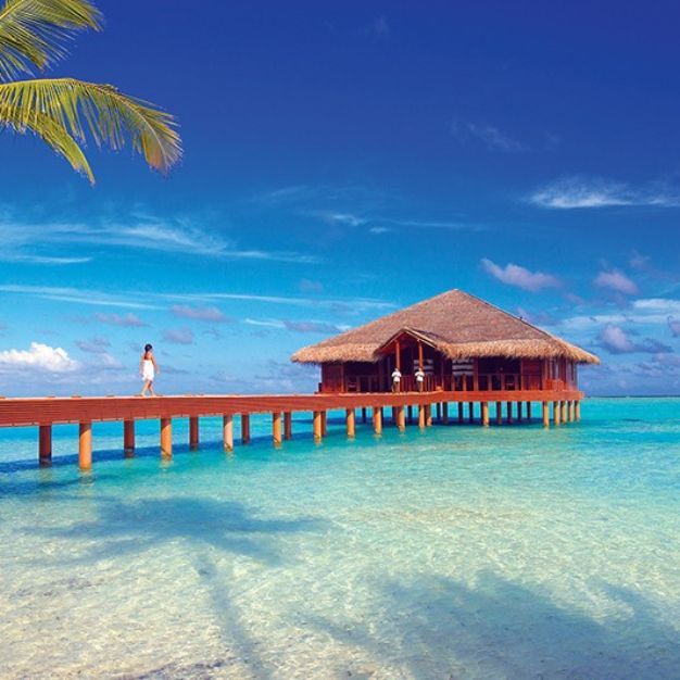 Maldives Honeymoon 