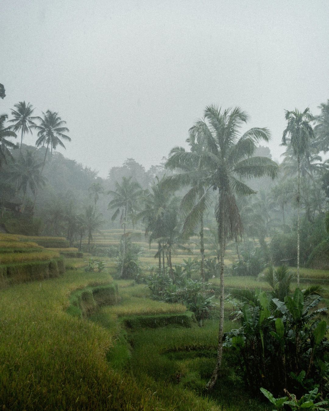 Best Places to visit in Bali