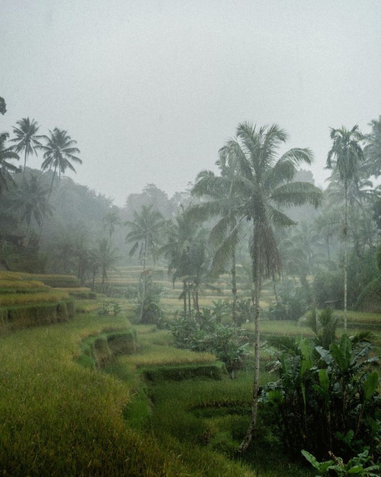  Best Places to Visit in Bali – Explore the Island of the&nbsp;Gods